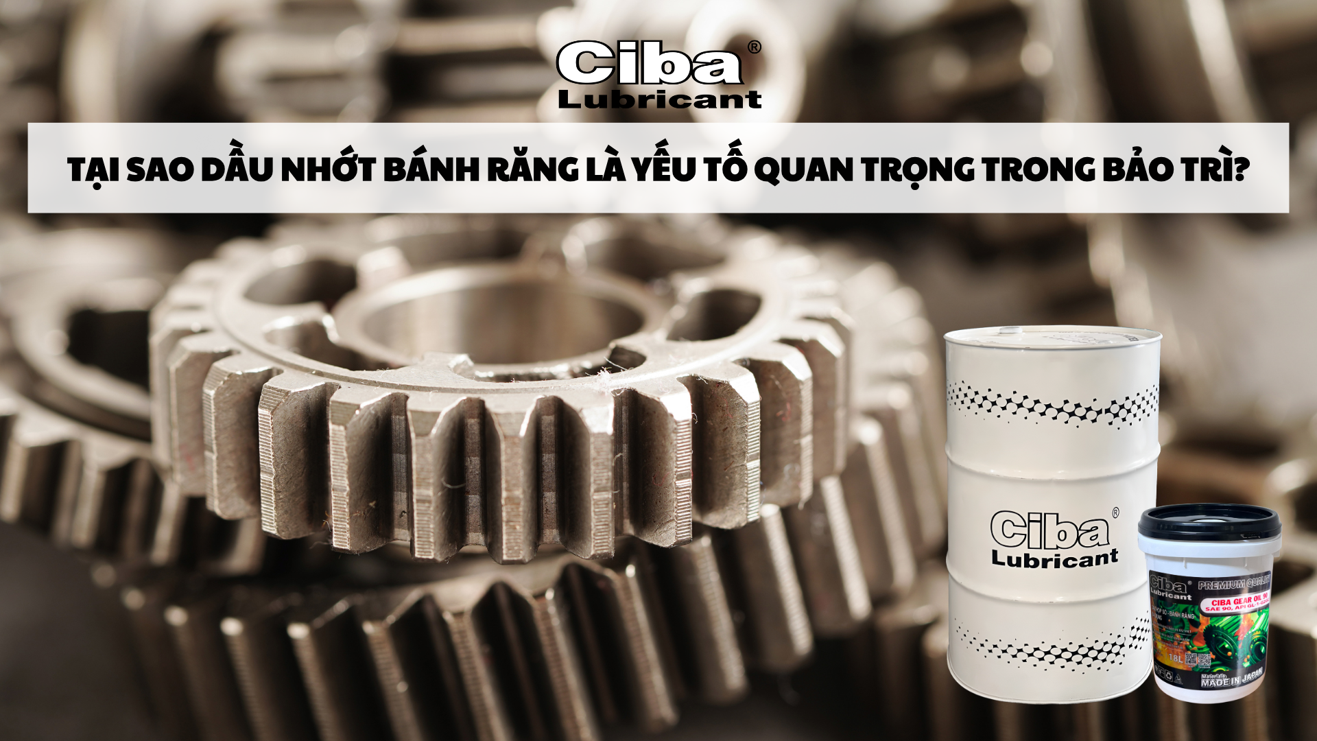 Tại Sao Dầu Nhớt Bánh Răng Là Yếu Tố Quan Trọng Trong Bảo Trì?