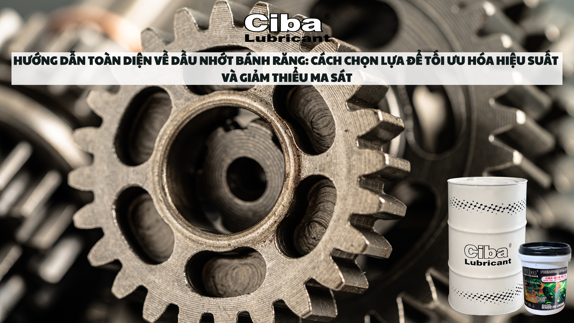 Hướng Dẫn Toàn Diện Về Dầu Nhớt Bánh Răng: Cách Chọn Lựa Để Tối Ưu Hóa Hiệu Suất Và Giảm Thiểu Ma Sát